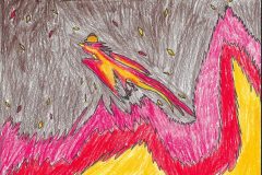 Phoenix-Contractors-Jaide-Robke-scaled