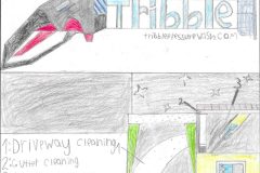 Tribble-Pressure-Washing-Henry-Robke-scaled